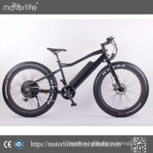 Motorlife /brand 2017 Hot sale 48V 750W electric mountain bike